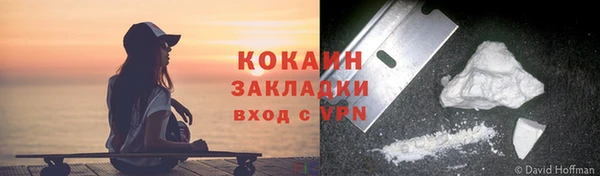 индика Майский