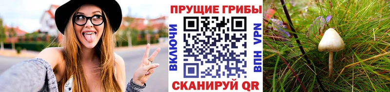 Псилоцибиновые грибы Magic Shrooms  Мценск 