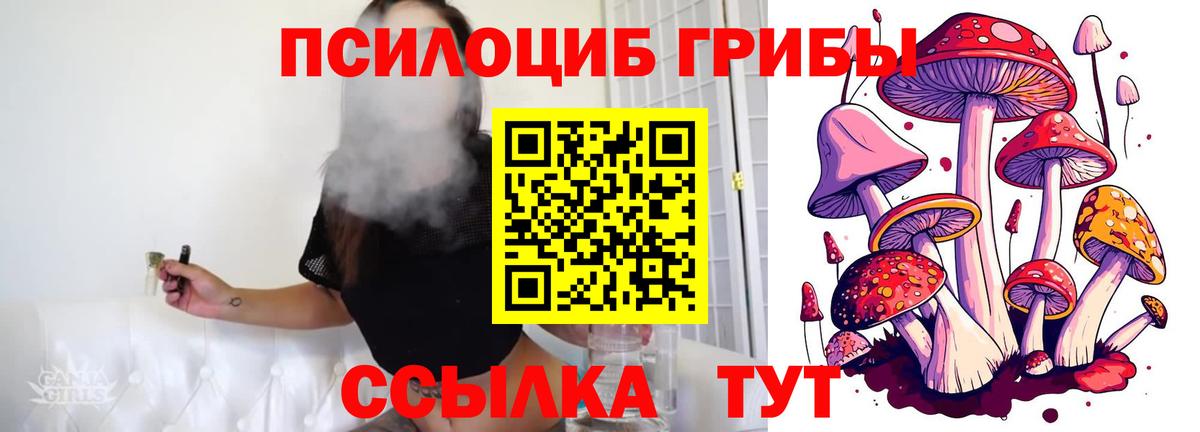 Псилоцибиновые грибы Psilocybine cubensis  Вход с VPN  Мценск 